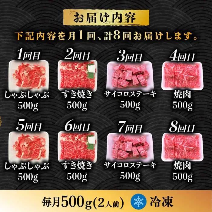 【8回定期便】  飛騨牛 プレミアム 定期便 2人前 ( しゃぶしゃぶ × すき焼き × サイコロステーキ × 焼肉 ) 各500g[TAZ047]牛肉