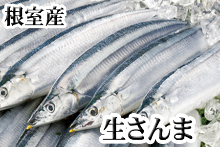 【北海道根室産】生さんま5尾×2P G-36001
