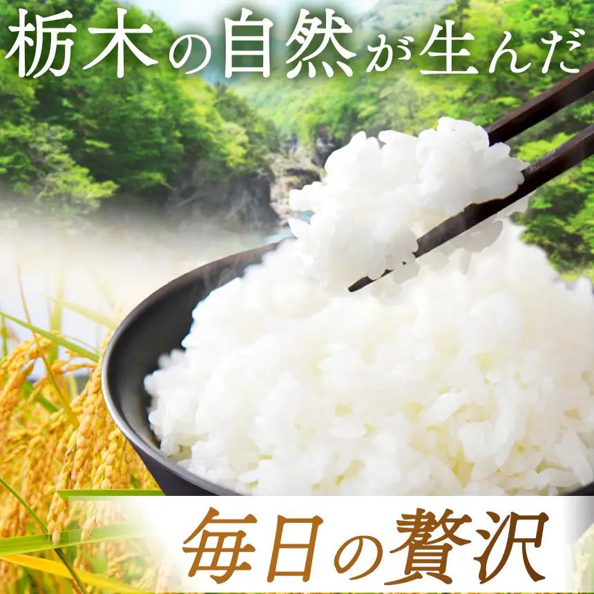 栃木県産 ミルキークイーン 10kg（5kg×2袋）【栃木県共通返礼品 栃木県産】AB | 栃木県 下野市