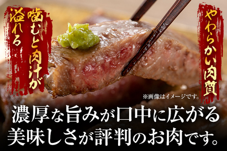 【ふるなび限定】【先行予約】【厳選部位】【A4～A5】博多和牛サーロインブロック 約1kg CP046er FN-Limited 