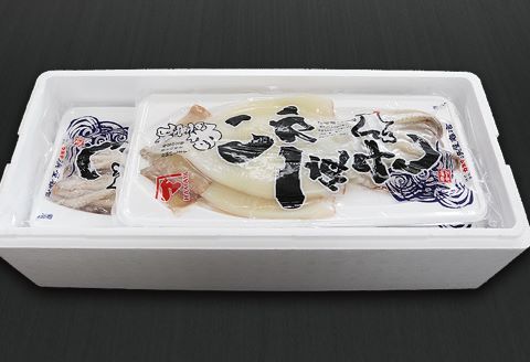 いか一夜干し2枚×8P C-32022