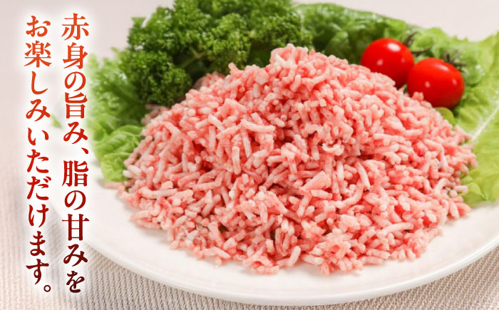 放牧豚 挽き肉 計1.5kg（250g×6）《厚真町》　【ファーマーズファクトリー株式会社】 [AXBA122]