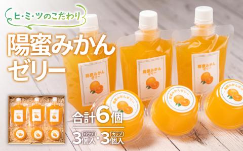 贅沢みかんゼリー詰合わせセット　西都市産「陽蜜みかん」使用＜1.2-5＞