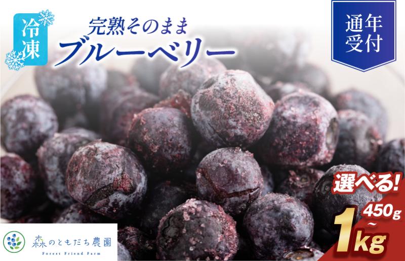
                  森のともだち農園 冷凍ブルーベリー 選べる容量＜450g（150g×3P）・1kg＞【配送不可地域：離島】【V003270】国産冷凍フルーツ 冷凍フルーツ 冷凍果物 冷凍 ブルーベリー 国産 無添加 冷凍ブルーベリーふるさと納税 デザート
                