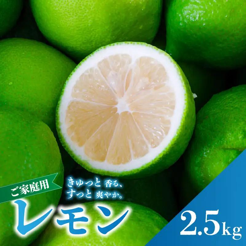 【防腐剤ワックス不使用】【家庭用】 グリーン レモン 約2.5kg 愛媛県松山市 レモン 【RNK0112_g】