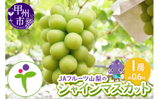 JAフルーツ山梨 甲州市産シャインマスカット 1房【60】【2026年発送】B-107【シャインマスカット ぶどう 葡萄 ブドウ 令和8年発送 期間限定 山梨県産 甲州市 フルーツ 果物】