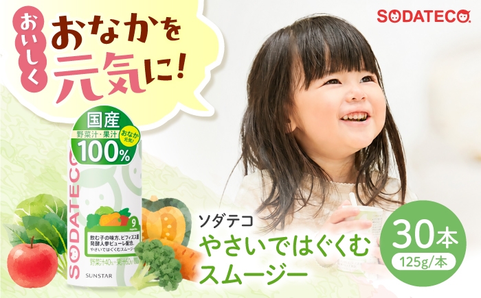 
                  ソダテコ やさいではぐくむスムージー 1本125g×30本入 ベビーケア 国産 砂糖・食塩不使用 保存料無添加 紙パック 大阪府高槻市/サンスター [AOAD058]
                