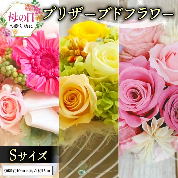【ふるさと納税】 【 母の日 】 プリザーブド フラワー S ギフト プレゼント 花 お祝い 贈答 記念日