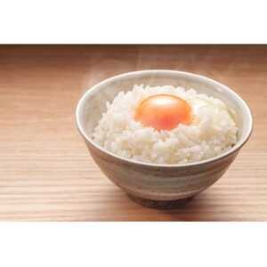 【毎月定期便】蛇紋岩ブランド 別格米 20kg(5kg×4)全12回【4071057】