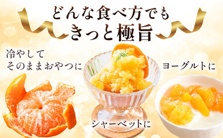みかん 熟成みかん 極旨 1箱 2.2kg