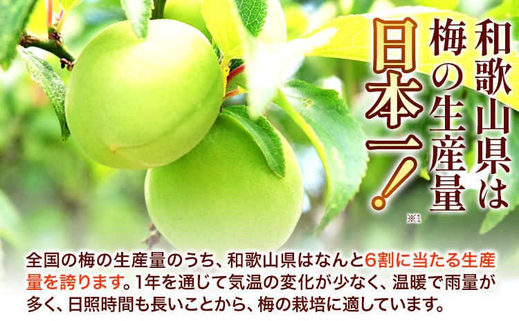 高級南高梅食べ比べ4種 計1kg 紀州塗箱 網代模様仕上げ 澤株式会社《90日以内に出荷予定(土日祝除く)》和歌山県 日高町 梅干し 梅 うめ ウメ 南高梅 うす塩梅 はちみつ梅 しそ漬け梅 白干梅 紀州南高梅 紀州塗 送料無料---wsh_swknu4syu_90d_22_24000_1kg---