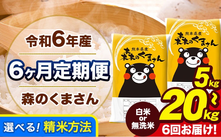 【6ヶ月定期便】令和6年産 無洗米 も選べる 森のくまさん 5kg 10kg 15kg 20kg 《お申し込み月の翌月から出荷開始》 熊本県産 無洗米 白米 精米 ひの 米 こめ ふるさとのうぜい コメ 熊本米 定期便---mk6tei_90000_5kg_mo6_gkt_h---