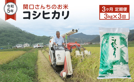 米 定期便 3ヶ月 令和6年 関口さんちのお米 コシヒカリ 3kg お米 こめ コメ 精米 白米 ご飯 こしひかり 長野 信州 3回 お楽しみ