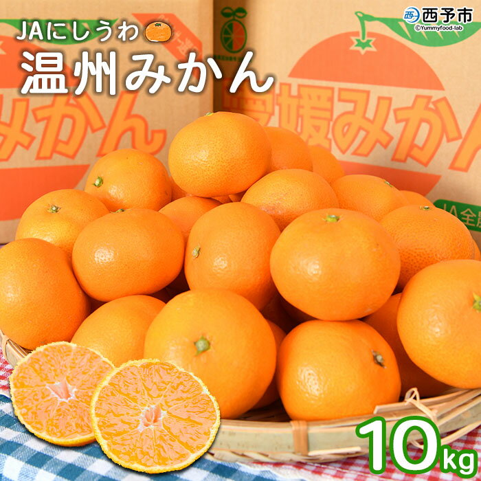 【ふるさと納税】＜JAにしうわ 温州みかん 約10kg＞ 果物 フルーツ くだもの 温州ミカン 蜜柑 柑橘類 食べて応援 特産品 甘い 旬 西宇和農業協同組合 愛媛県 西予市 【常温】『2025年11月中旬～12月中旬迄に順次出荷予定』