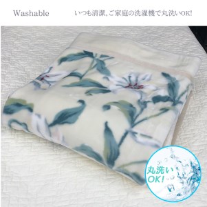 泉大津産 『ロマンス』 マイヤー毛布 色：アイボリー シングル 663087109010 [1439]