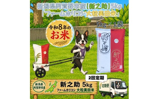 【令和8年産新米】【2か月定期便】阿賀野市産 新之助 「ファームホリコシ 新之助」 5kg×2回  白米 精米 新潟県 米 こめ コメ 新米 新米予約 令和8年産 10月上旬頃より発送開始予定 3H16025