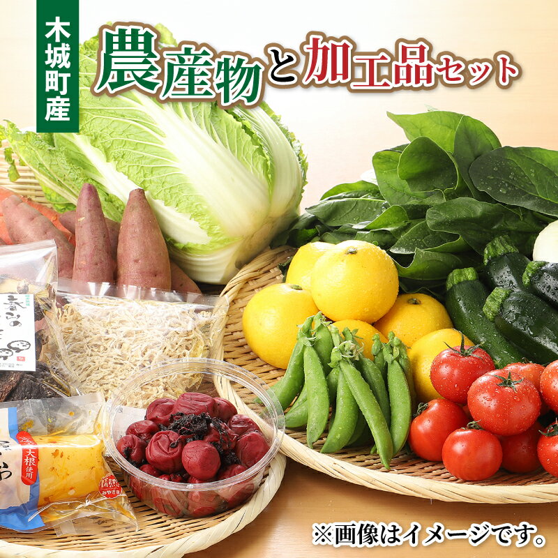 【ふるさと納税】木城町産農産物と加工品セット - 産地直送 野菜セット 旬の野菜6〜8品程度 季節の野菜 おまかせ お楽しみ 詰め合わせ 野菜宅配 例：ほうれん草/きゅうり/生姜/レタス/ごぼう/次郎柿/ドレッシングなど 送料無料【宮崎県木城町】