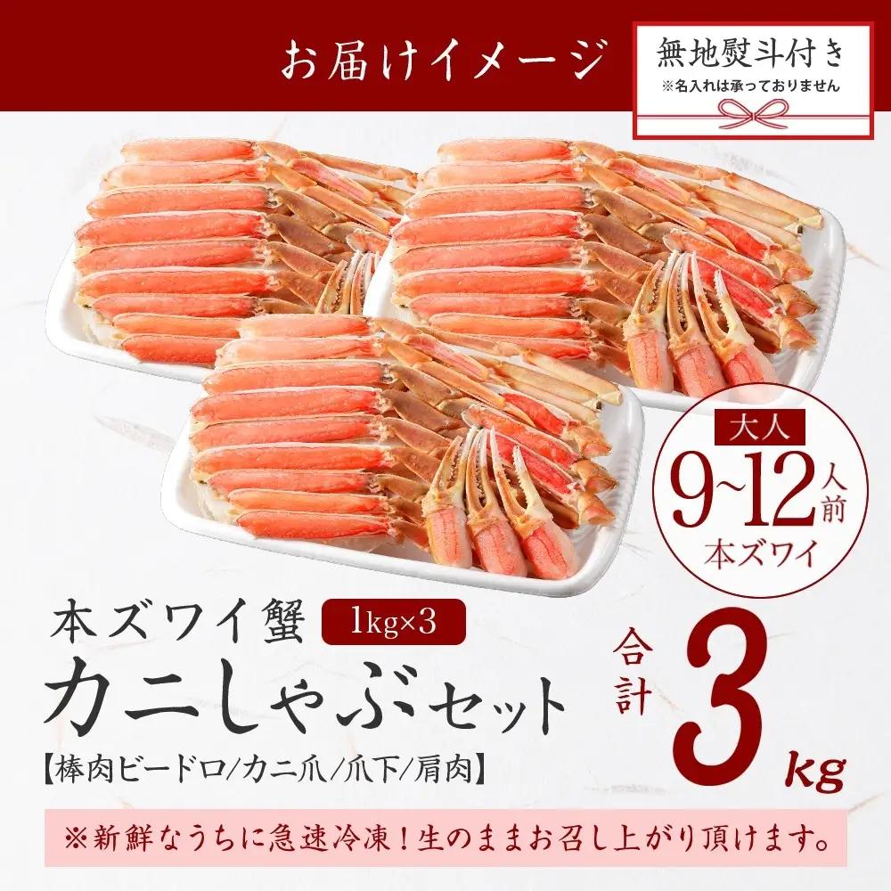 本ズワイガニ 蟹しゃぶ ビードロ 3kg 無地熨斗 北海道 3531