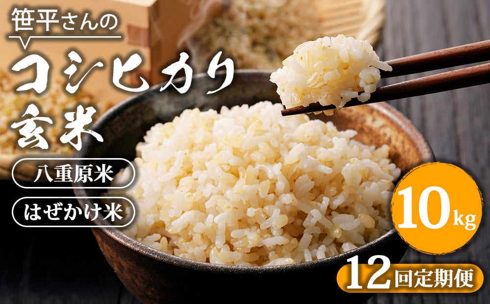 
            【定期便】【令和6年産】八重原産コシヒカリ 玄米【10kg×全12回 合計120kg】｜笹平さんのお米 八重原米 はざかけ はぜかけ
          