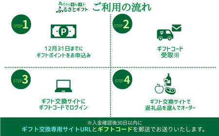 あとからセレクト 【ふるさとギフト】 ギフトポイント 寄附額 10000円分 あとから選べる返礼品 長野県 飯綱町 [2045]