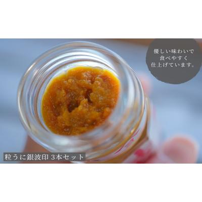 ふるさと納税 下関市 粒うに銀波印 55g 3本セット 常温 下関 山口 ED04-NT-x |  | 01
