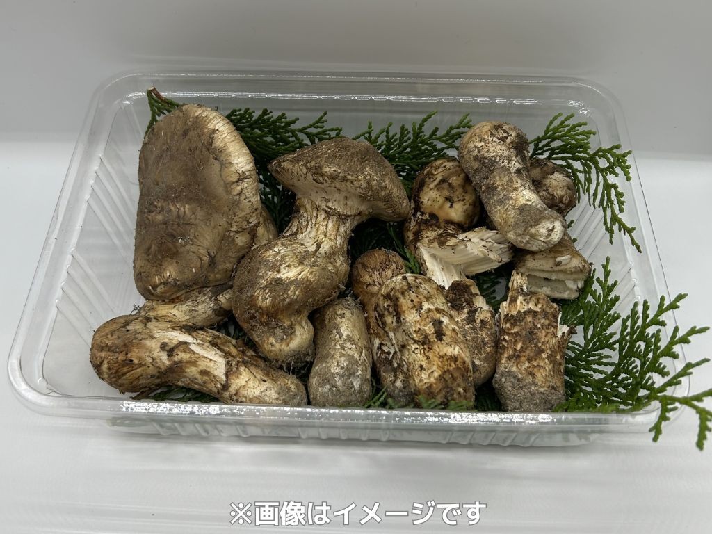 梱包など画像はイメージです。規格外品をお届けする返礼品です。