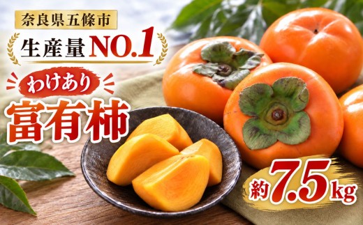 わけあり 富有柿 約 7.5kg | 人気 フルーツ 果物 くだもの 柿 かき カキ ふゆう 秋の味覚 自宅用 家庭用 特産品 たっぷり  大人気 人気 富有 柿 かき フルーツ 果物 11月 12月 発送  秋の味覚 旬 甘い 大容量 農家直送 産地直送 お取り寄せくだもの  奈良県 五條市