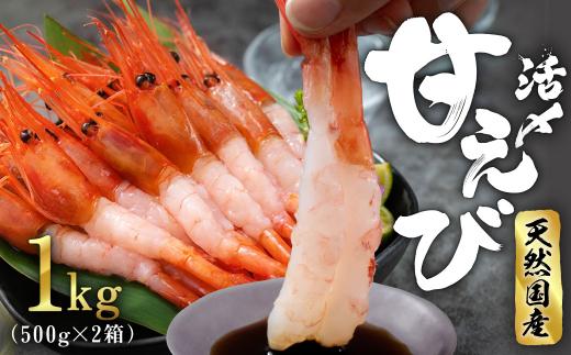 【３月】福井県産 鮮度抜群の大きい甘エビ1kg小分け（総重量1.2kg） ※無添加 天然 甘えび真空パック済