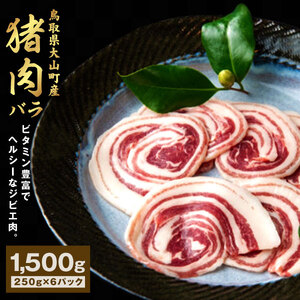 GB-07　猪肉　バラ　1.5kg（250g×6パック）