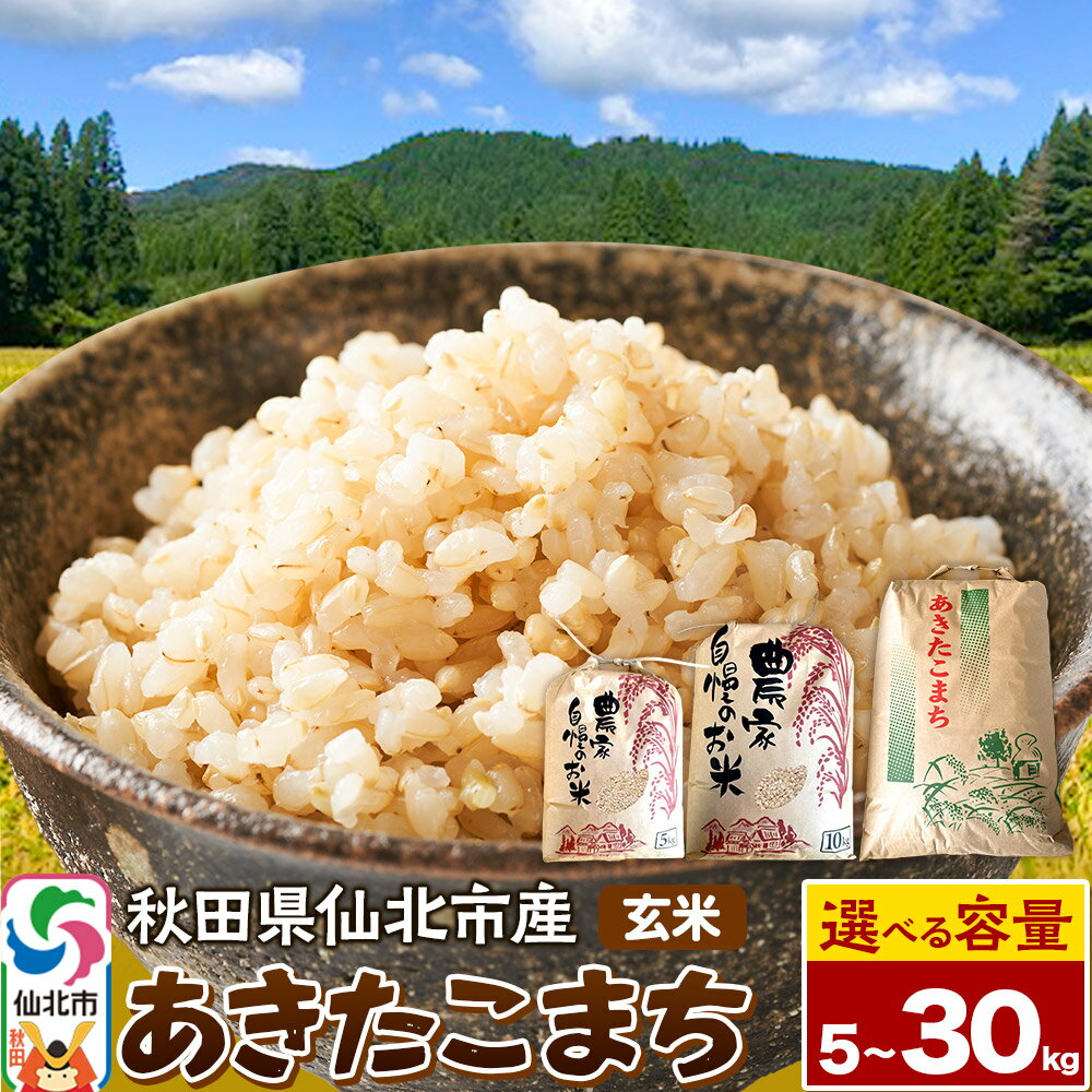 【ふるさと納税】【玄米】令和7年産 あきたこまち【選べる容量5kg／10kg／30kg】米 お米 こめ 秋田県 仙北市産