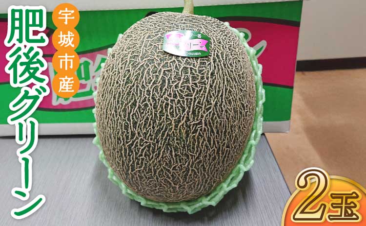 【先行予約】 宇城市産 肥後グリーン 2玉 フレッシュダイレクト【2026年5月中旬〜7月下旬頃順次発送予定】