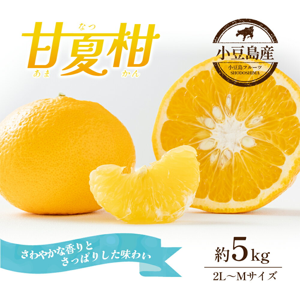【ふるさと納税】【 小豆島 】甘夏柑　約5kg　お届け：2026年4月上旬～2026年5月中旬