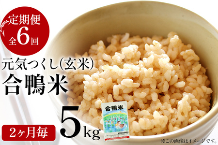 令和7年産 予約 合鴨米「元気つくし」（玄米・5ｋｇ）定期便6回コース※2025年10月中旬より順次出荷予定(隔月発送予定)　BI10　