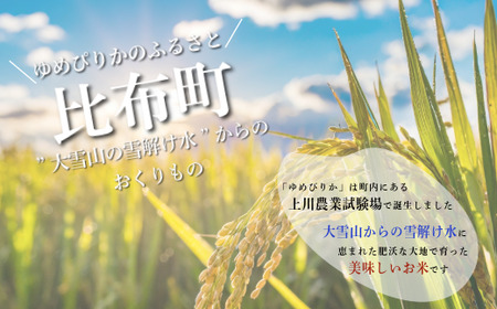 令和7年産 新米 特別栽培米 ゆめぴりか 2kg【ナナプラザ】米 お米 北海道産 北海道米 特Aランク 国産 白米 コメ 北海道 比布町 ぴっぷ 1021-011