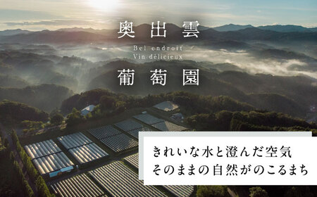 奥出雲葡萄園 シャルドネ樽発酵 ワイン 白 750ml×1本 島根県雲南市/有限会社　奥出雲葡萄園 [AICS042]