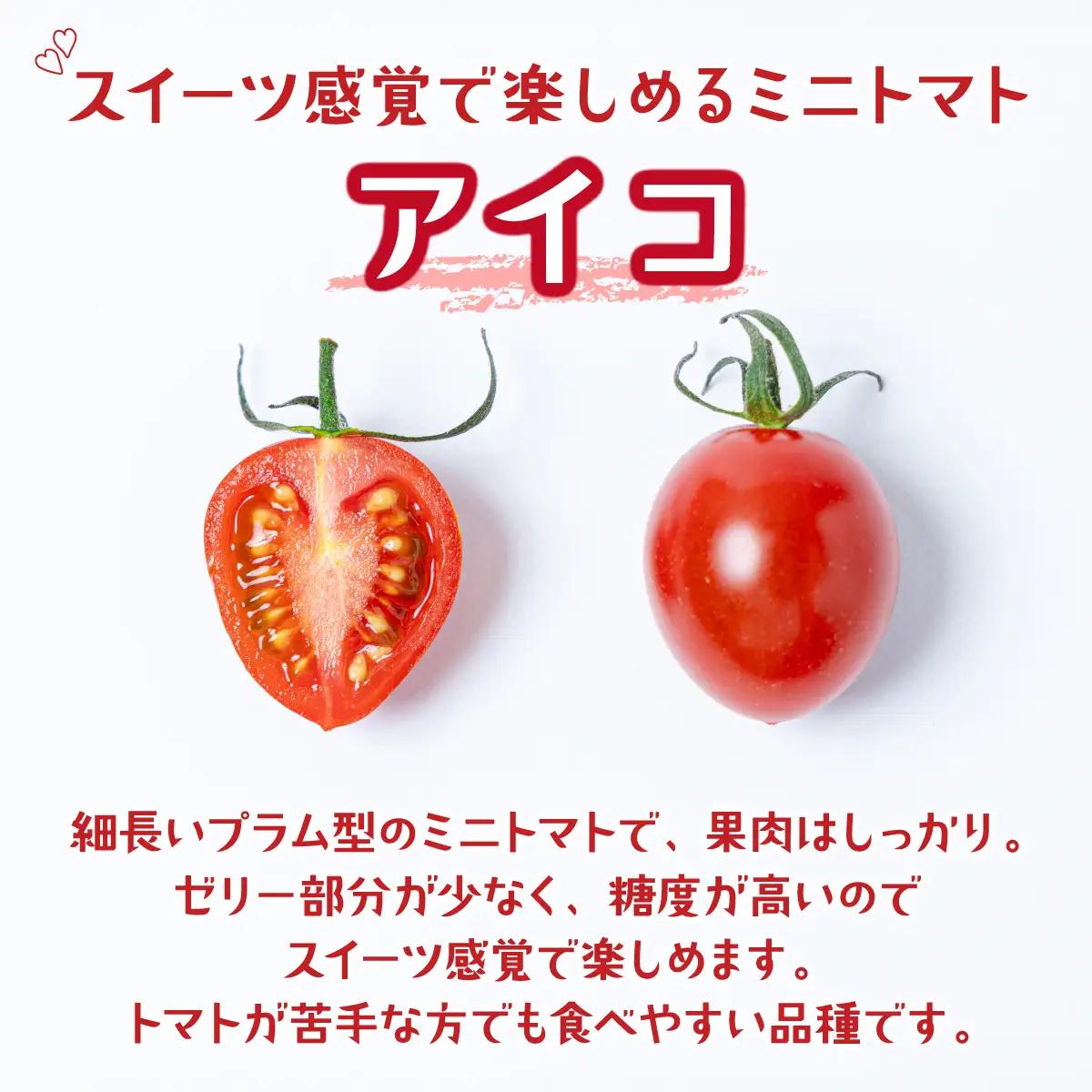 【先行予約】ミニトマト（アイコ）　3kg　Mサイズバラ詰め