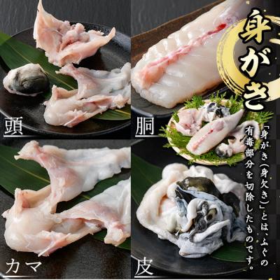 ふるさと納税 佐伯市 <業務用>豊後とらふぐ 1匹 青箱入 (約800g前後) |  | 02