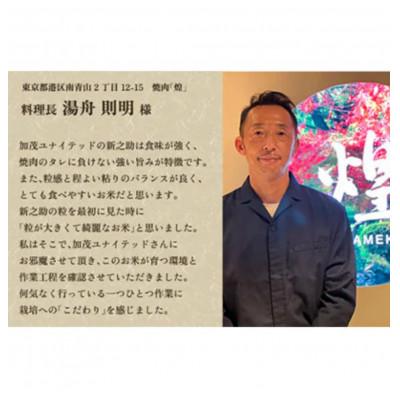 ふるさと納税 加茂市 【発送月固定定期便】新之助 精米4kg(2kg×2袋)全12回 |  | 03