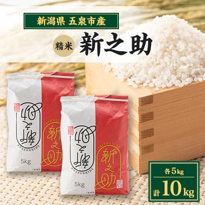 ふるさと納税 五泉市 【新米先行受付】R7年産新潟県五泉市産　新之助　10kg(5kg×2袋)　精米