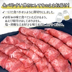 薄切り牛たんスライス 1kg 味付けなし 冷凍品  牛タン 薄切り肉 簡単調理 焼き肉 味付け無し 生肉 焼くだけ 冷凍 お手頃 牛肉 タン塩