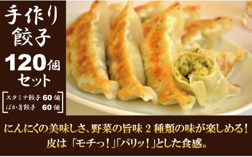 
特製！手作り餃子セット（スタミナ餃子60個＋ばか旨餃子60個）
