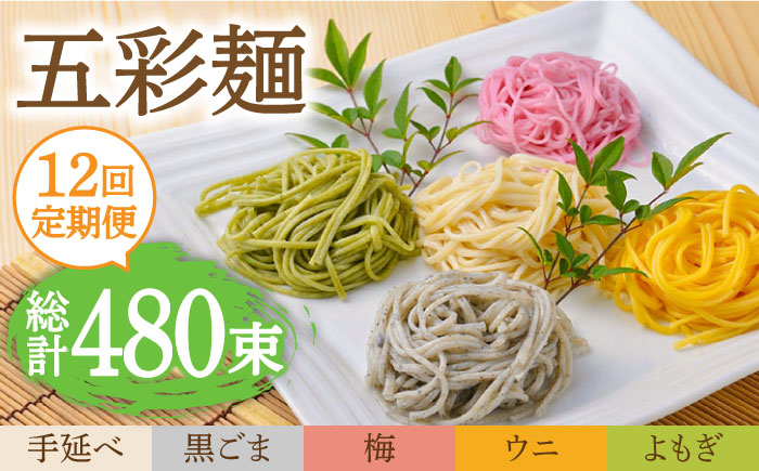 【12回定期便】五彩麺 セット 40束 / そうめん 素麺 黒ごま 梅 うに よもぎ / 麺 乾麺 食べ比べ 詰め合わせ カラフル / 南島原市 / のうち製麺 [SAF029]