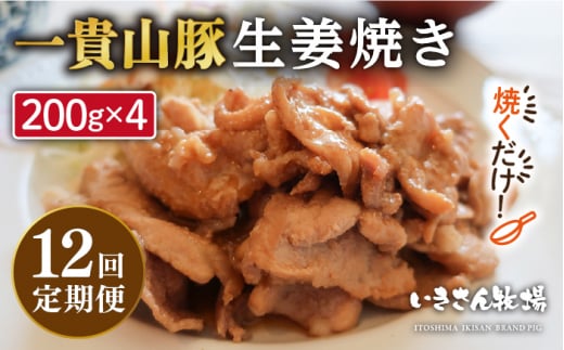【全12回定期便】焼くだけ定番おかず！一貴山豚 生姜焼き 4パック 糸島市 / いきさん牧場 [AGB018] 生姜焼き 冷凍 焼くだけ 子供 豚肉 福岡 ブランド豚 豚肉