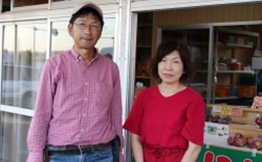 ＜2025年11月上旬よりお届け＞北海道壮瞥町 りんご「ぐんま名月」12～20玉約5kg SBTF013
