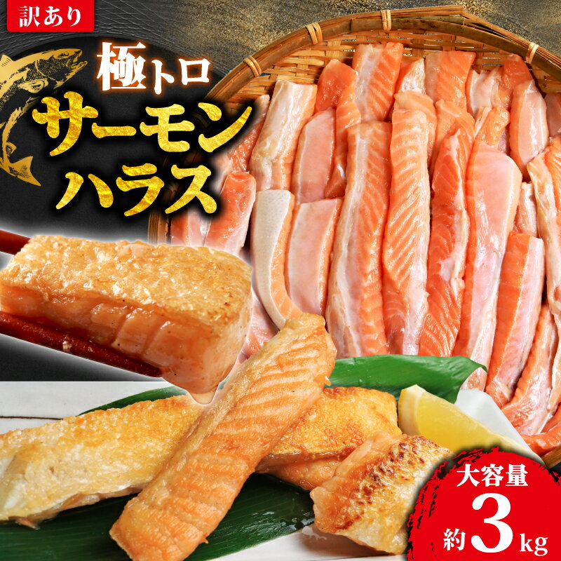 【ふるさと納税】 訳あり トロ サーモン ハラス 約3kg （約1kg×3） アトランティックサーモン サーモンハラス トロサーモン サーモン 鮭 さけ しゃけ 規格外 小分け 個別冷凍 冷凍 真空 真空パック 千葉県 銚子市 荒野商店