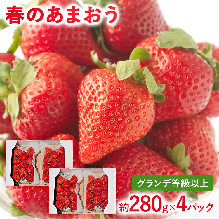 【ふるさと納税】【2026年発送先行予約】春のあまおう(G規格以上約280g x 4パック) お取り寄せグルメ お取り寄せ 福岡 お土産 九州 福岡土産 取り寄せ グルメ 福岡県