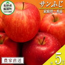 【ふるさと納税】 りんご サンふじ 家庭用 ～ 秀 5kg やまじゅうファーム 沖縄県への配送不可 令和6年度収穫分 信州の環境にやさしい農産物 減農薬栽培 長野県 飯綱町 【 信州 果物 フルーツ リンゴ 林檎 長野 】発送時期：2024年11月下旬～2024年12月中旬{**}