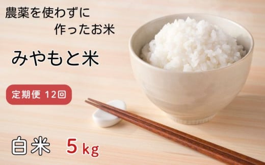 【定期便12回】農薬を使わずに作ったお米　みやもと米（白米）　5kg