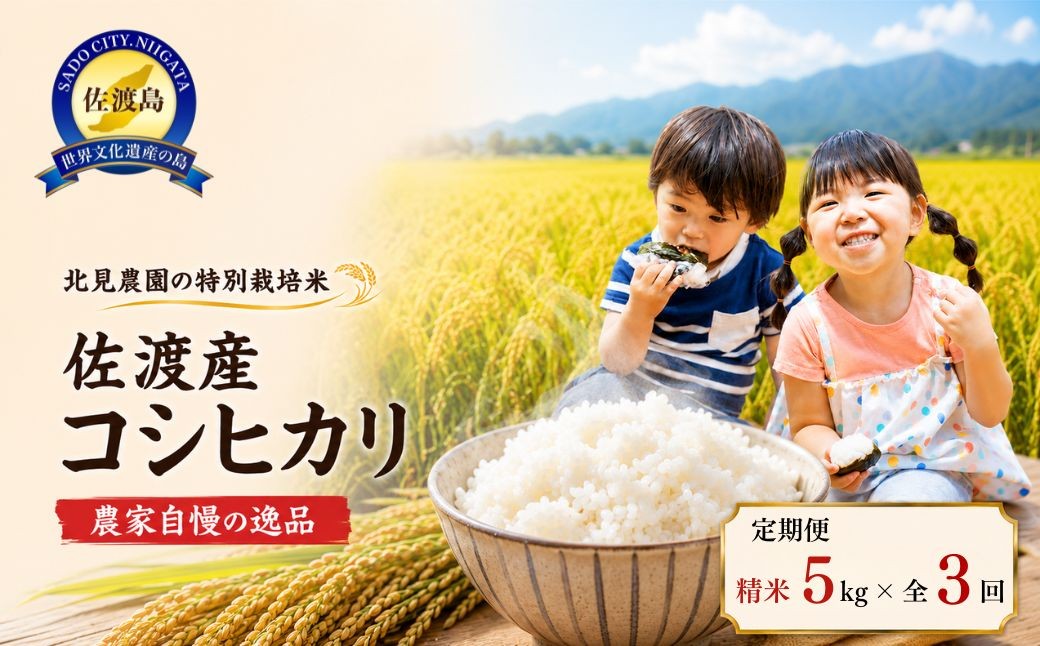 
                  【先行予約・限定】令和8年産　特別栽培米　佐渡産コシヒカリ　農家直送　朱鷺も棲む　北見農園自慢の逸品　定期便（精米5kg×3回コース）
                