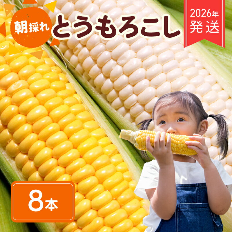 【ふるさと納税】 2026年 先行予約 とうもろこし 白 ＆ 黄色 8本 食べ比べ ホワイトコーン ホワイト コーン スイートコーン 新鮮 旬 野菜 やさい 夏野菜 朝採り とうきび バーベキュー 数量限定 季節限定 送料無料 産地直送 冷蔵 千葉県 旭市 株式会社はなわ農園